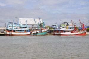 จ่อเดือดทั้งอ่าว! ประมงแม่กลองนัดรวมพลบุก 3 กระทรวง จี้แก้แรงงาน-น้ำมัน-ราคาสัตว์น้ำ ก่อนระบบพังทั้งห่วงโซ่