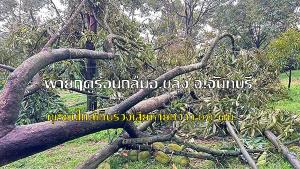 พายุฤดูร้อนพัดถล่ม อ.ขลุง จ.จันทบุรี ทำทุเรียนใกล้เก็บร่วงเสียหายกว่า 100 ตัน
