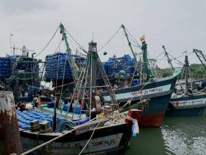 ประมงแม่กลองอ่วม! หมึกเถื่อนทะลัก กดราคาดิ่ง เรือจอดแล้ว 60% วอนรัฐคุม IUU ก่อนล่มทั้งอุตสาหกรรม