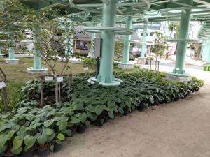 ภาพ: สำนักงานประชาสัมพันธ์กรุงเทพมหานคร