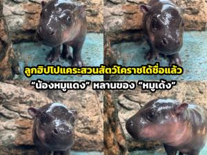 ภาพจากสวนสัตว์นครราชสีมา