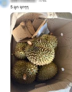 มีทั้งเริ่ดและไม่เริ่ด! ส่องรีวิวเพื่อนรักซื้อทุเรียนกับ “พิมรี่พาย” เจ้าตัวลั่นพร้อมรับเคลมหากได้ของไม่ดี