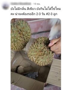 มีทั้งเริ่ดและไม่เริ่ด! ส่องรีวิวเพื่อนรักซื้อทุเรียนกับ “พิมรี่พาย” เจ้าตัวลั่นพร้อมรับเคลมหากได้ของไม่ดี