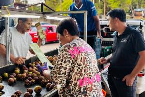 ชุมพรเปิดประมูลมังคุด เกษตรกรยิ้ม ราคาพุ่งรับต้นฤดู ผลผลิตมีคุณภาพ ผิวสวย เนื้อขาว รสชาติดี