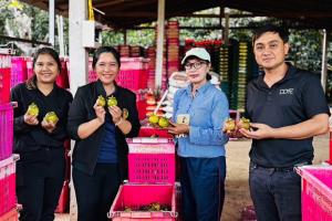 ชุมพรเปิดประมูลมังคุด เกษตรกรยิ้ม ราคาพุ่งรับต้นฤดู ผลผลิตมีคุณภาพ ผิวสวย เนื้อขาว รสชาติดี