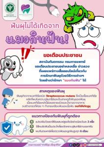 “กรมการแพทย์” เตือน "แมงกินฟัน" ไม่มีจริง ยันฟันผุเกิดจากแบคทีเรีย ไม่ใช่พยาธิ
