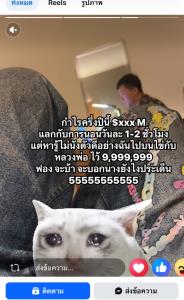 ฮือฮา! สาวโพสต์ถามวิธีขน "ไข่แก้บน" 10 ล้านฟอง หลังบริษัทกำไรทะลุ 3,000 ล้านบาท