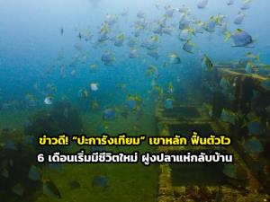ภาพจาก ทช.