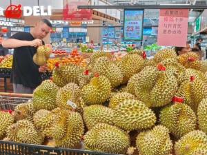 กลิ่นหอม รสหวานจาก 'ทุเรียนไทย' หนุนการค้าสินค้าเกษตรจีน-อาเซียน