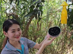 ไบโอเทค เปิดตัว “นวัตกรรมชีวภัณฑ์กำจัดแมลงวันผลไม้” ทางเลือกใหม่ช่วยลดสารเคมีและเพิ่มมูลค่าผลผลิตไทย