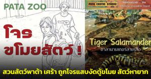 สวนสัตว์พาต้าเศร้า ถูกโจรแสบงัดตู้ขโมย "กิ้งก่าจระเข้-ซาลาแมนเดอร์" สัตว์หายาก 2 ชีวิต เผยดำเนินคดีถึงที่สุด