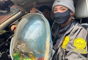 รวบแล้วผัว-เมีย ขโมยสัตว์แปลกในสวนสัตว์พาต้า สารภาพนำไปขายซื้อยาเสพติด