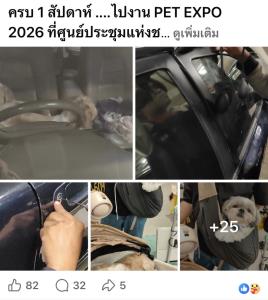 นาทีระทึก! 3 ตูบแสบกดล็อกรถกลางงาน PET EXPO ทำพ่อแม่หน้าเหวอ เจ้าหน้าที่รุมช่วยวุ่น