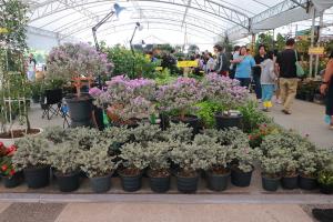 ครั้งแรกในรอบ50ปีบ้านและสวนแฟร์ขยับสู่ภูมิภาคนำร่องที่ขอนแก่น สินค้ามากกว่า 500 บูธจัดเต็ม