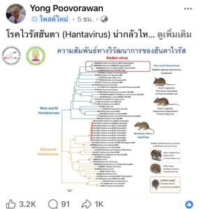 'หมอยง' ให้ความรู้ 'ไวรัสฮันตา' น่ากลัวแค่ไหนสำหรับคนไทย หลังพบสายพันธุ์อันตรายในอเมริกาใต้