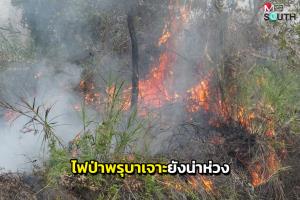 สถานการณ์ไฟไหม้ป่าพรุบาเจาะยังน่าเป็นห่วง ผวจ.นราฯ สั่งระดมรถดับเพลิงทำงานต่อเนื่อง