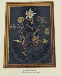 กรอบรูปประดับดอกไม้ทับแห้ง ตรงกลางคือดอก Edelweiss ฝีพระหัตถ์สมเด็จพระศรีนครินทราบรมราชชนนี (ภาพจาก หนังสือ แม่เล่าให้ฟัง) 
