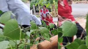 (คลิป)นาทีชีวิต! กิ่งโพธิ์ยักษ์อายุกว่า 100 ปีหักทับศรัทธางานทำบุญกลางวัดดังสารภี เชียงใหม่ เจ็บ 6 สาหัส 3