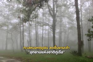 (ภาพ : เพจ กรมอุทยานแห่งชาติ สัตว์ป่า และพันธุ์พืช)
