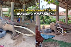 (ภาพ : เพจ สำนักประชาสัมพันธ์เขต 3 กรมประชาสัมพันธ์)