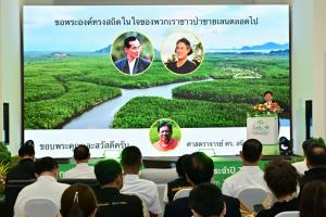 ไทยเร่งเครื่องเศรษฐกิจสีน้ำเงิน “รมว.สุชาติ” ผนึกนักวิชาการ-เอกชน ฟื้นป่าชายเลนอย่างยั่งยืน
