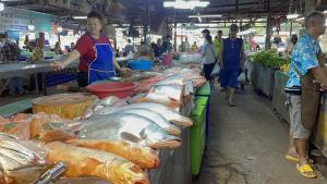 ผลตรวจ “ปลาแค้ป่วย” ทั้งที่เชียงคาน-หนองคายพบสารโลหะหนัก ปลาทั่วไปยังรับประทานได้