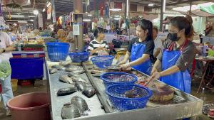 ผลตรวจ “ปลาแค้ป่วย”ทั้งที่เชียงคาน-หนองคายพบสารโลหะหนัก ปลาทั่วไปยังรับประทานได้