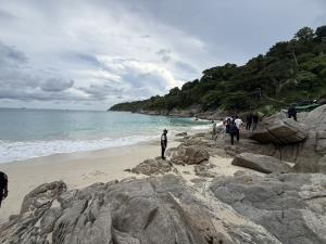 ยึดอีก 2 หลัง เพิงรุกป่าขายน้ำปั่นริมหาดฟรีดอม หลังยึดไปแล้ว 57ไร่  23 คดี งัดทุกกฎหมายเอาผิดเสี่ยอักษร L รอดูจะเกิดอะไรขึ้น