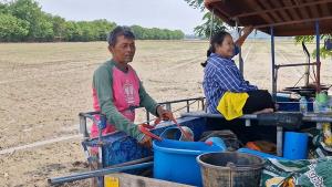 ชาวนาชัยนาท –อ่างทอง  ถือฤกษ์วันพืชมงคล ลงมือปลูกข้าวนาปี ฝ่าต้นทุนพุ่ง วอนรัฐพยุงราคาข้าว