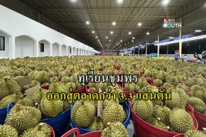 ทุเรียนชุมพร ออกสู่ตลาดกว่า 3.3 แสนตันในปีนี้ ด้าน มังคุด เงาะ ทยอยออกสู่ตลาดต่อเนื่องตลอดปี