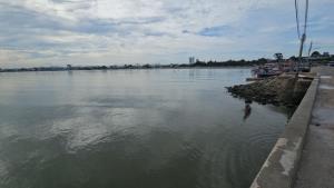 ชาวบ้านผวา ปลาหมอคางดำ โผล่ชายฝั่งทะเลพัทยา- สะพานปลานาเกลือ ประมงอำเภอตรวจสอบยังไม่พบ