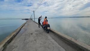 ชาวบ้านผวา ปลาหมอคางดำ โผล่ชายฝั่งทะเลพัทยา- สะพานปลานาเกลือ ประมงอำเภอตรวจสอบยังไม่พบ