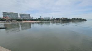 ชาวบ้านผวา ปลาหมอคางดำ โผล่ชายฝั่งทะเลพัทยา- สะพานปลานาเกลือ ประมงอำเภอตรวจสอบยังไม่พบ
