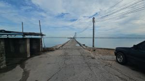 ชาวบ้านผวา ปลาหมอคางดำ โผล่ชายฝั่งทะเลพัทยา- สะพานปลานาเกลือ ประมงอำเภอตรวจสอบยังไม่พบ