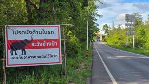 ช้างป่าละอูคลั่ง! ใช้งวงรัดป้าวัย 67 เหวี่ยงตกถนน-เตะซ้ำ อาการสาหัส กะโหลกร้าว ซี่โครงหัก ม้ามแตก ลูกสาววอนรัฐเร่งเยียวยา