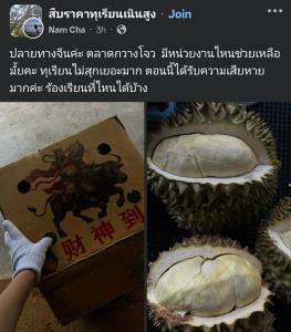 เพจดังเมืองจันท์แฉ “ทุเรียนลม”โผล่ตลาดกว่างโจว ปท.จีน จี้หน่วยงานเกี่ยวข้องเร่งตรวจสอบ