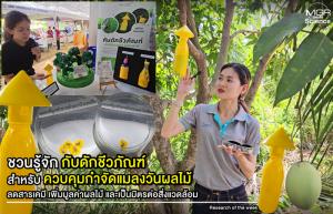 (VDO Clip) ชวนรู้จัก “กับดักชีวภัณฑ์สำหรับควบคุมกำจัดแมลงวันผลไม้” ลดสารเคมี เพิ่มมูลค่าผลไม้ และเป็นมิตรต่อสิ่งแวดล้อม/ Research of the week