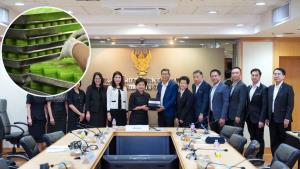 จีนปิดประตู "ยาดมไทย" สัญญาณเตือนผู้ส่งออกไทย “มาตรฐาน” โหดกว่าภาษี สกัดบุกตลาด 1,400 ล้านคน